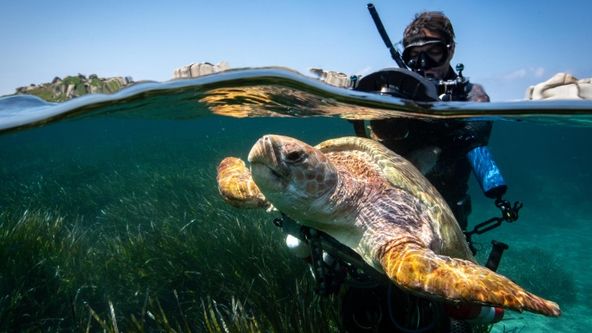 Středomoří - soužití člověka a přírody (1/5)