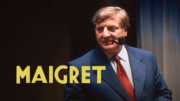 Maigret a mrtvý spolužák (43/54)