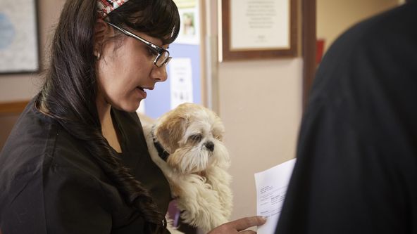 Dr. Jeff: Veterinář ze Skalnatých hor (4)