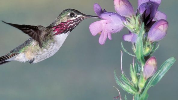 Roční období na planetě Zemi (1)