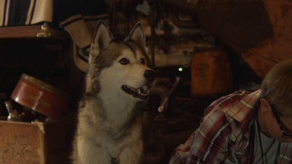 Timber - Lovec pokladů