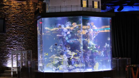 Akvária na míru VII (9)