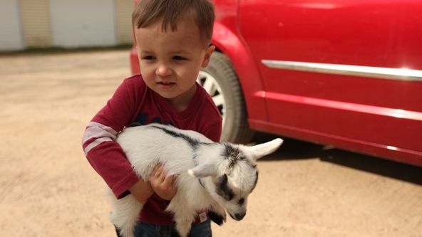 Skvělý dr. Pol XIV (19)