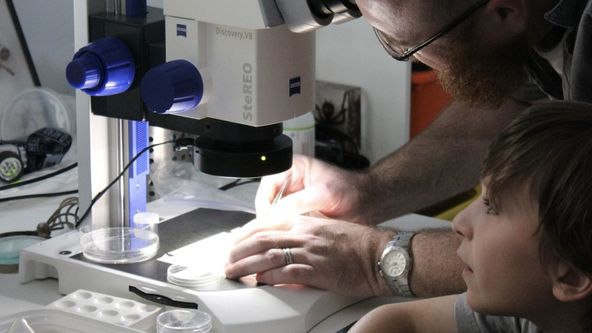 Divočina u nás doma