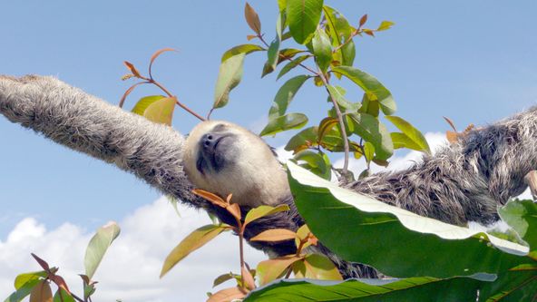 Neznámá Guyana (3)