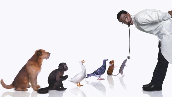 Dr. Dolittle