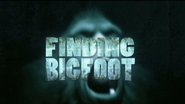 Pátrání po yettim II (34)