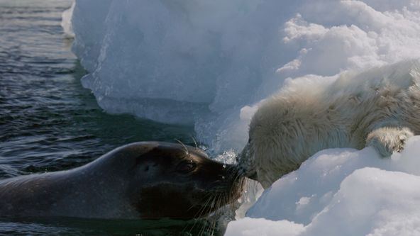 Kanada: Jak přežít divoký sever