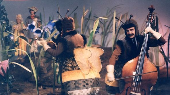 Pohádka z šafránové louky