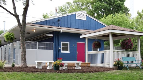 Soutěž o renovaci zvířecích útulků (1)