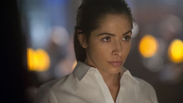 Lovci zločinců III (3)