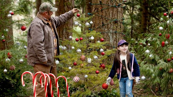 Rolničky, kam se podíváš 2