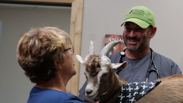 Veterináři z Nebrasky III (1)