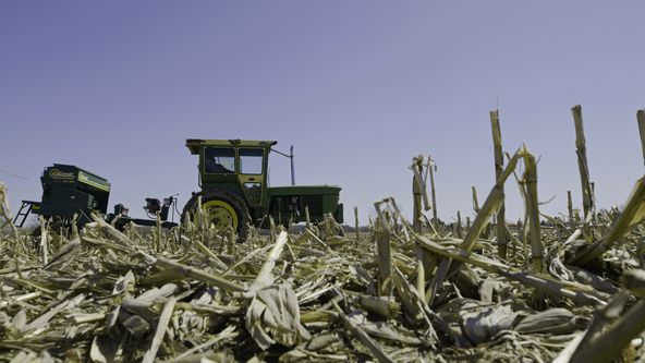 Skvělá farma doktora Pola (6)