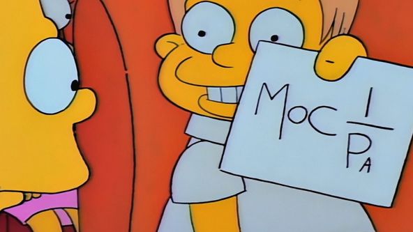 Simpsonovi XXVIII (12/22)