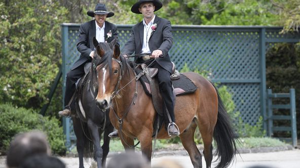 Svatba na první pohled Austrálie VI (6)