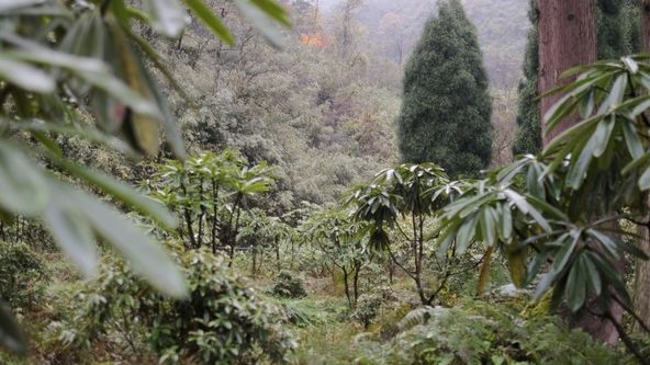 Divoká Čína s Rayem Mearsem (1)