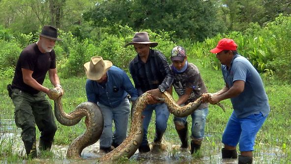 Anakonda – konec mýtu?