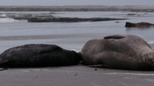 Divocí bojovníci (3)