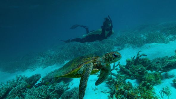 Hlubinné potápění v Austrálii (2)