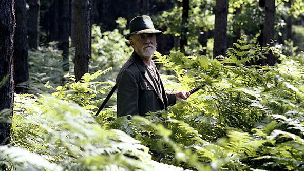 Stín kapradiny