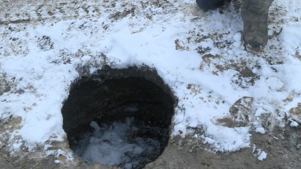 Dřevařští titáni II (1)