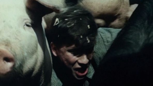 Copak je to za vojáka...