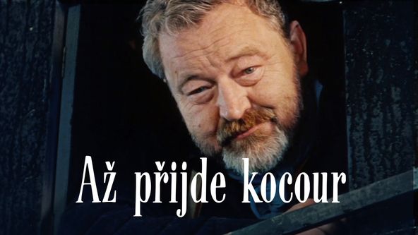 Až přijde kocour, Je nám ctí... Jan Werich – 120 let