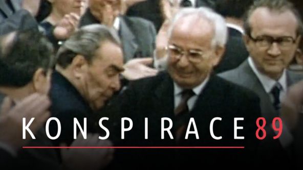 Konspirace 89, Den boje za svobodu a demokracii
