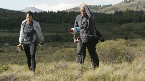 The Amazing Race XXXV (10)