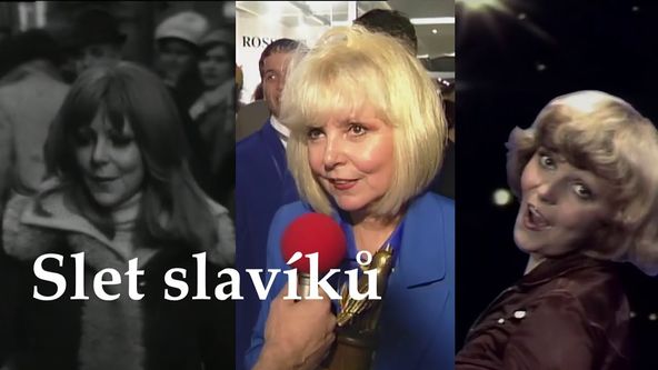 Slet slavíků