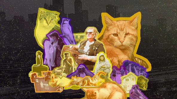 Projekt Cat City