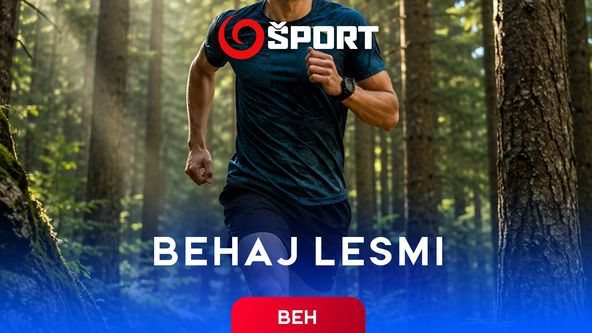 Behaj lesmi