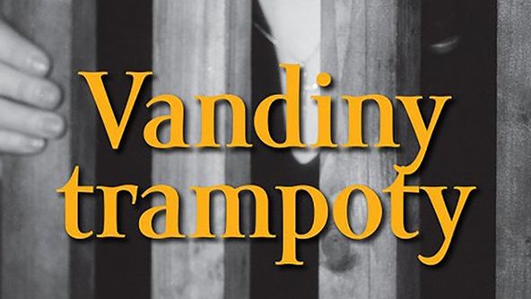 Vandiny trampoty