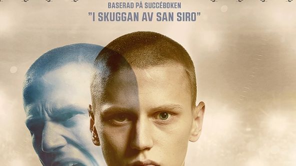 Tygři