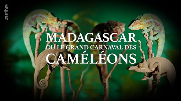 Madagaskar aneb Karneval chameleonů