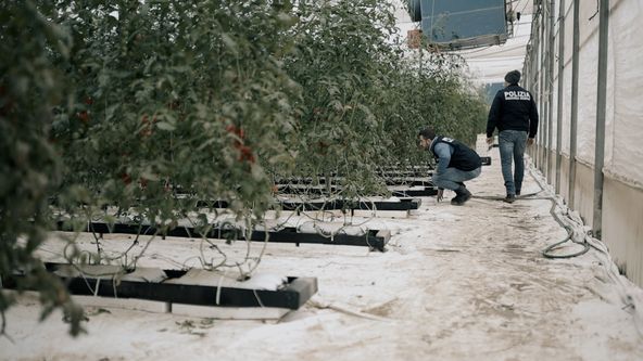 Agromafie v Itálii