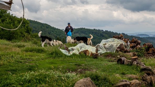 Na cestě po řeckých Kozani a Greveně