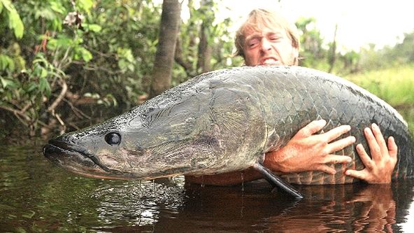 Rybí legendy Jakuba Vágnera