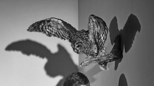 Batesův motel III (7/10)