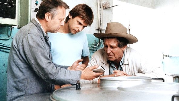 Slunce, seno, jahody