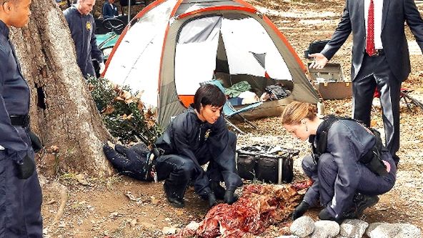 Sběratelé kostí IX (22)