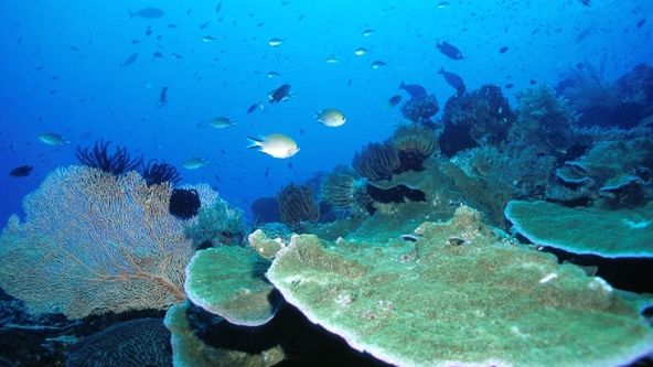 Směr rovník: Útesy hojnosti (4/6)