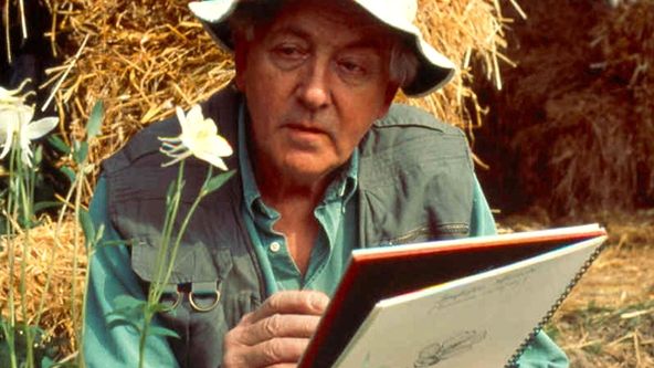 Vraždy v Midsomeru V