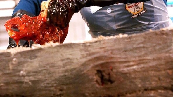 Sběratelé kostí X (11)