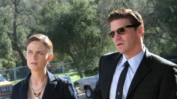 Sběratelé kostí (18)