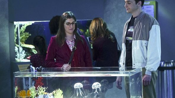 Teorie velkého třesku IX (9)