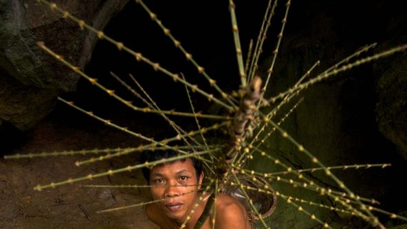 Kouzla přírody monzunových oblastí (5/5)