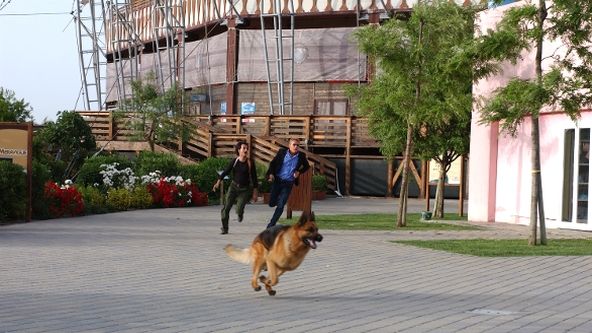 Návrat komisaře Rexe X (2)