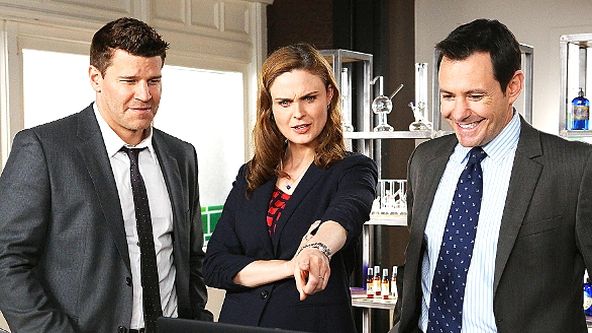 Sběratelé kostí IX (20)